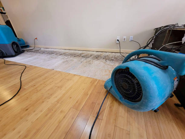 Professional Water Damage Repair technician working in Riverview, SC